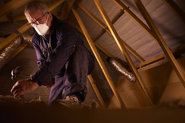 Types of Insulation We Offer in Margaret, AL